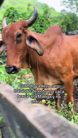 🤣lo que callamos uno a veces 😂