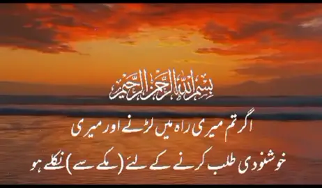 #Allah #alquran #foryou #Quran #tiktok #islamic#islamic_video #fyp #islamic #forypupage