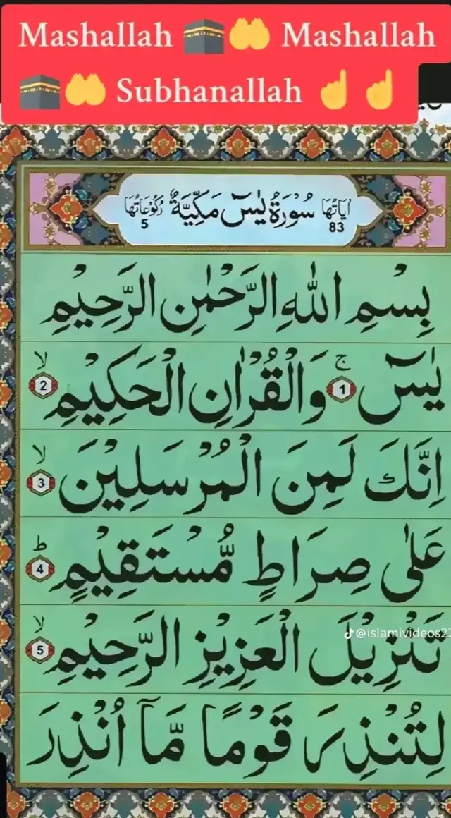 #foryoupage #unfrezzmyaccount #subhanallah #mashallah😍😍😍😍😍 