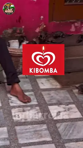 Bora visitar a fábrica dos picolés Kibomba aqui na Índia? #indiastreetfood #indianos #indiabusiness #comidadaindia #comidaindiana 