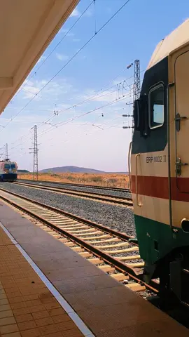#ethiopian_tik_tok🇪🇹🇪🇹🇪🇹🇪🇹 #babur #dire #hararetiktok🥰🥰 #ethiodjiboutirailway @ye_lij_magna @samisha@ @ᑕᗩᑭT ᕼᗩIᒪᑌ☆☆☆ @Captain Kena❤❤❤️ @Cap-Tsegaye 