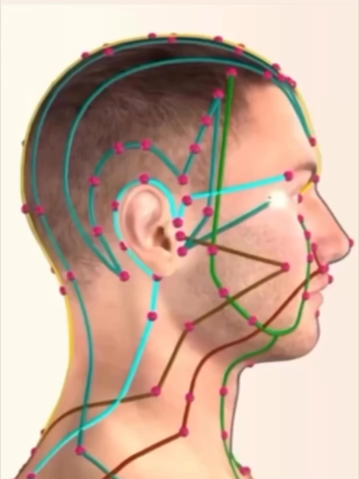 I love to use the Gallbladder acupuncture points in practice! 👇 My favourites are: GB 12 for insomnia, GB 14 for sinus headaches, GB 20 for occipital headaches with sinus issues. GB 21 for upper back tension. GB 24 for patients who have lost their direction in life and GB 25 for KD stone pain. GB 30 for sciatica, GB 34 for joints/tendons issues, self doubt and excess damp heat, and GB 39 for bone marrow issues. GB 40 for migraines, GB 41 with SJ 5 to relax the pelvic area, and GB 44 for nightmares due to overeating. ➡️ What’s your favourite GB acupuncture point? #acupuncture #acupuncturepoints #acupressurepoints #jointspain #jointpainrelief