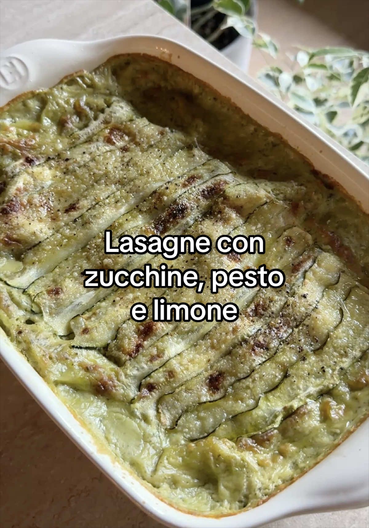 Lasagne con zucchine, pesto e limone 🌱 Un modo fresco e delicato per portare in tavola uno dei miei piatti preferiti 💖 Per il ripieno: 🌱 1kg di zucchine 🌱 2 spicchi d'aglio 🌱 q.b. olio, sale, pepe Per la besciamella: 🌱 1l di latte di soia senza zuccheri né aromi 🌱 90g di farina 0 🌱 80g di olio 🌱 q.b. sale Per il pesto: 🌱 80g di pinoli 🌱 60g di basilico 🌱 60g di grattugiato vegetale 🌱 1 spicchio d'aglio 🌱 6 cucchiai di olio 🌱 q.b. sale 🌱 2 cubetti di ghiaccio Altri ingredienti: 🌱 12 fogli di pasta per lasagne 🌱 1 zucchina 🌱 2 cucchiai di grattugiato vegetale 🌱 q.b. scorza di limone, olio, pepe Cuocete le zucchine in padella con olio, aglio, sale e pepe per 10 minuti, mescolando di tanto in tanto. Nel frattempo preparate la besciamella, versando l'olio e la farina in un pentolino. Cuocete su fiamma bassa, mescolando con una frusta per circa un minuto. Aggiungete il latte di soia, senza smettere di mescolare, e proseguite la cottura fino a quando la besciamella inizia ad addensarsi. Spegnete, unite il sale e mescolate un'ultima volta. Versate in un mixer i pinoli, il basilico, il grattugiato vegetale, l'aglio, l'olio, il sale e i cubetti di ghiaccio. Frullate fino a ottenere un pesto cremoso e omogeneo, poi unitelo alla besciamella e mescolate per amalgamare. Distribuite un velo di besciamella al pesto sul fondo di una pirofila. Coprite con uno strato di pasta per lasagne, aggiungete altra besciamella, una parte delle zucchine cotte un po’ di scorza di limone. Continuate ad alternare gli strati fino a terminare tutti gli ingredienti. Concludete con un ultimo strato di pasta, besciamella al pesto e delle fette di zucchine crude per decorare. Completate con scorza di limone, grattugiato vegetale, olio e pepe. Cuocete in forno statico a 180°C per circa 45 minuti, fino a quando la superficie sarà ben dorata ✨ Se volete fatemi sapere cosa ne pensate, vi aspetto nei commenti 💖 Un abbraccio, – Carlotta #lasagna #lasagne #zucchine #pesto #ricettevegetali