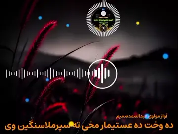 #مبارز #هروی 