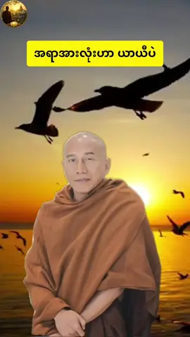 #သစ္စာရွှေစည်ဆရာတော်အရှင်ဥတ္တမ၏တရားတော် #နံနက်ခင်းတရားတော်များ #တရားတော်များ #Buddhism 