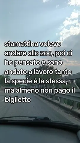 uno spettacolo gratuito 👏 #zoo #lavoro #trend #perte #fyp 