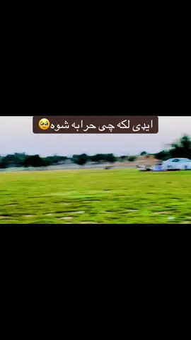 #ژوندی_دې_وي_لوی_افغانستان🌺🌺❤️💔❤️‍ @muhabatkhosty0 @ازار وهلی شمس @🇦🇫AB Malik Madad🇦🇪 