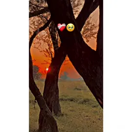 🌾🌱پنجابی مندُا🌱🌾🌺🍁۔ ❤️‍🩹🫤🥀🙌🏻۔ #pypシtiktok☆♡🦋viralvideo🖤#pypシtiktok☆♡🦋🥰🥰#videoviral #terrorifico #terrorifico ❤️‍🩹🥀