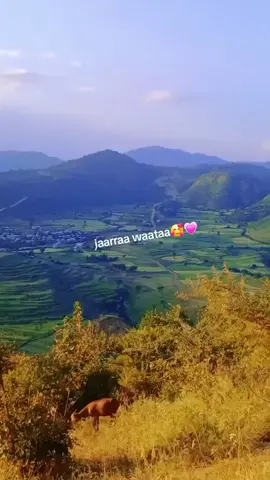 #💘🦋 #💔🖤😌 #itiypiya_tik_tok🇪🇹 #🕊️🕊️🕊️🕊️🕊️🕊️🕊️🕊️🕊️ @Ōfīī Bøtūū 