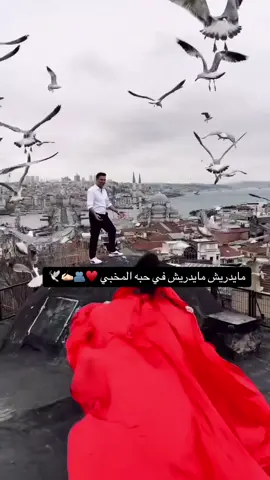 هو وسط قلبي#♥️ #🕊️ 