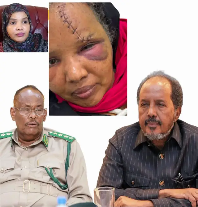 Waa Suuban Mahad Dirir oo dhaawac jirkeeda bedelay kasoo gaaray duqeyntii guriga Jeneraal shub ee Degmada Doolow lagu beegsaday 3-Dii Bishan xilli ay halkaas kusugneyd kana mid ahayd dadka sida Caadiga ah guriga ugu noolaa. Suuban oo ah Siyaasiyad Iyo Hooyo Soomaliyeed oo deegaanada Jubland Caan ka ah ayaa soo bandhigtay dhibaatada ay ka dhacxshay duqeyntaas iyadoo ku eedeysay dowlada trukiga iyo masuuliyiinta ugu sareeya Taliska Muddo dhaafka ah inay ka dambeeyeen ficilkaas argagaxa lahaa. Suuban ayaa sheegtay in Illahay ka badbaadiyay, Balse duqeyntaas oo ay sheegtay in ay fuliyeen diyaaradaha aan duuliyaha lahayn (Drone) oo ay soo abaabuleen maamulka dowladda federaalka oo waqtigiisu dhammaaday, gaar ahaan Hassan Sheikh Mohamud iyo Mahad Salad. Gantaalka ayay sheegtay in uu hagayay nin lagu magacaabo Madaxa Nafuran Abdulkadir Mohamed Nur oo ay ku tilmaamtay jaajuus u shaqeeya Turkiga.  Turkiga ayay ku eedeysay inay Raalli ka noqotay in si mas'uuliyaddro ah loo isticmaalo qalabkeeda militariga, taas oo ujeeddadeedu ahayd in lagu dilo iyada iyo Taliye Shub.  