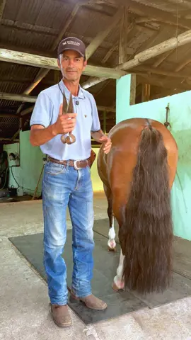#farrier #farriersoftiktok #farrierlife #animalwelfare #asmr 