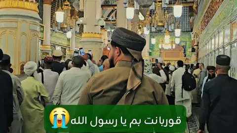 بەخۆم و دایک و باوک و ماڵ و منداڵم بەقوربانت بم  یا رسول اللە صــــل اللە علیـــــه وســــــلم ...😭 #روضه #السعودية #مسجد_نبوى #کۆمپانیای_هەواری_مەدینە 