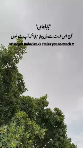#creatorsearchinsights #miss you Abu g #sadstatus #fypシ゚viral🖤tiktok #nimuasif551 
