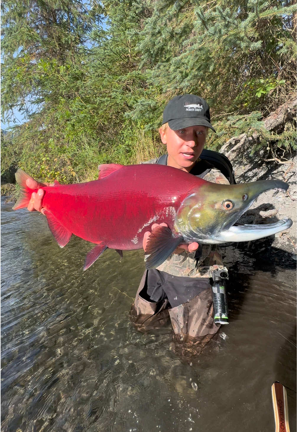 Big Red Sockeye Salmon! ##fishing##fishinglife##alaska##fishtok##salmon