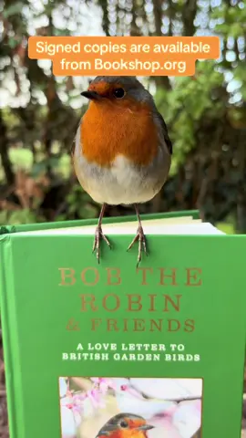 Bobette, she loves the new book 🥰 A limited number of Signed copies are available for preorder from Bookshop.org @Bookshop_org_uk 