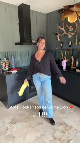 1 jour | 1 look | 1 son de Céline Dion ❤️‍🔥 purée j-1 et je vois la star 🥰 #celinedion #concertceline #lookdujour #outfitoftheday 