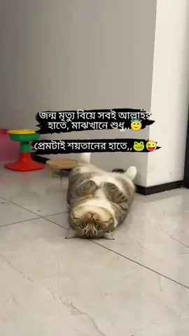 #জাস্ট_বিনোদন🤣😁 @꧁✿🌸টক