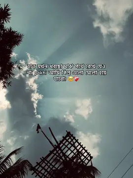 হাত যখন ধরছো মাঝ পথে রেখে যেও না, pakhi আমি কিন্তু এলো মেলো হয়ে যাবো! 🥺❤️‍🩹 #sad #sadmood #emotional #banglacaption  #creatorsearchinsights 