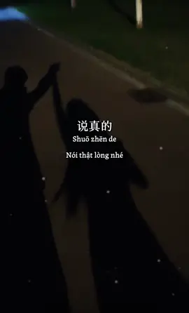 说真的，我不是一个喜欢玩玩的人，我那么真诚，那么勇敢。你的那些伎俩，不应该用在我身上的，你应该对我坦诚一点。我如果没有那么喜欢你，我不会给你半分靠近我的机会的，你懂吗？ ---------------------------------------- #anvuchinese #tiengtrunggiaotiep #hoctiengtrung #fyp #tamtrang  