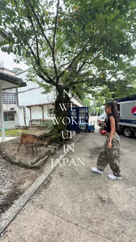 🦌 #japan #narapark #fyi #traveltok 