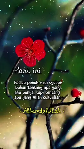 #fypシ #alhamdulillah #syukuriapayangada🙏😇 