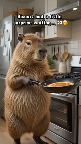 Biscuit tried to flip a pancake like a pro…😂#BiscuitTheCapybara #Capybara #FunnyCapybara #funnyanimals #petcomedy 