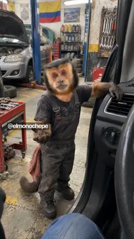 Hasta ahí funcionó bien jefe 🫡