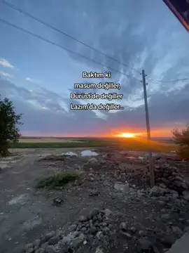 #storilikvideolar📌 #yılmazgüney 