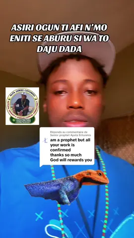 Réponse à @Senior prophet Apata Eritunmis @ALFA JAMIU Official @ALFA JAMIU 🎱🎱🎱 #viralvideos #fyp #following 