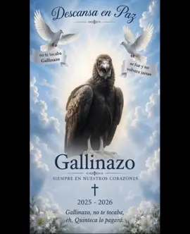 Justicia para el Gallinazo 🔥🐷 #magalytvlafirme #gordofuego #atv 
