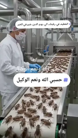 شير  الفديو 