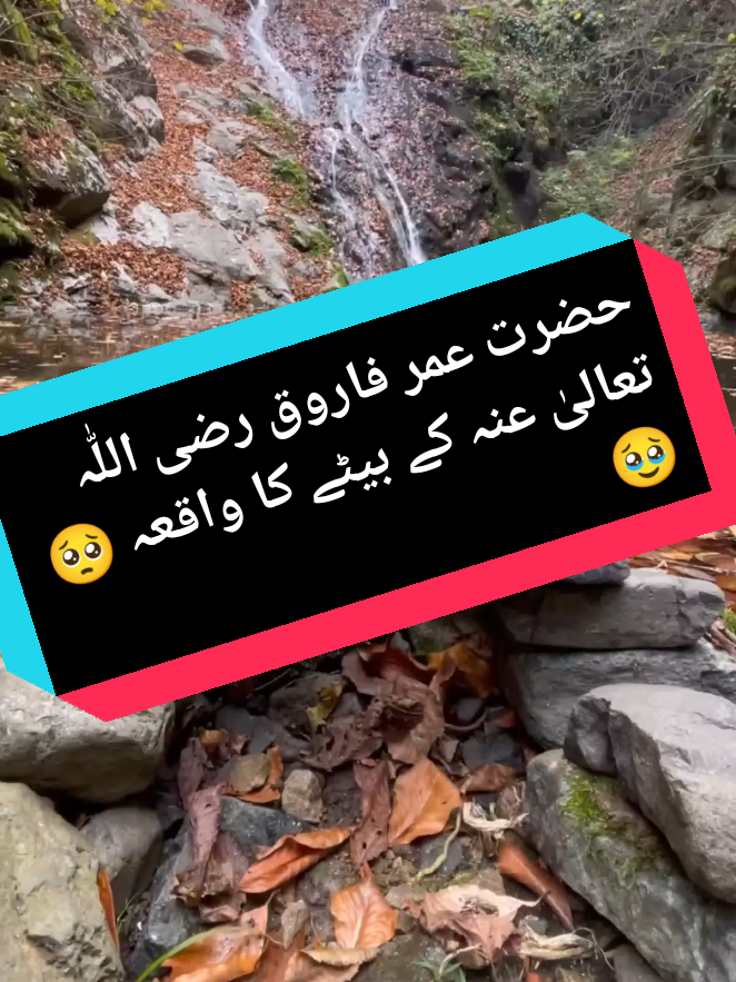 #peerajmalrazaqadri #peerajmalrazaqadri #peerajmalrazaqadri #peerajmalrazaqadri #peerajmalrazaqadri 