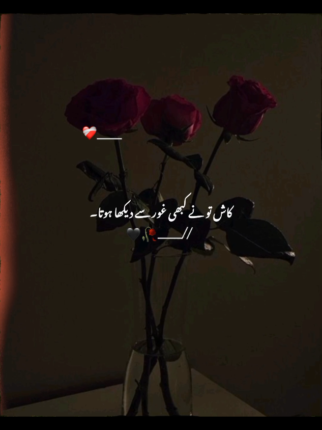 کاش تو نے کبھی غور سے دیکھا #foryou #1millionaudition #itsnaveed #athestic_videos #poeterystatus 
