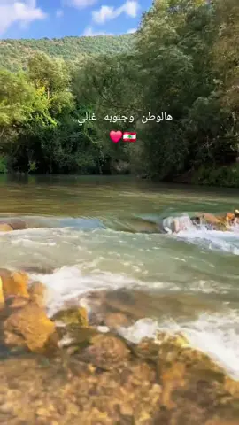 زوطر الغربية جنوب لبنان🤍🤍🤍🤍