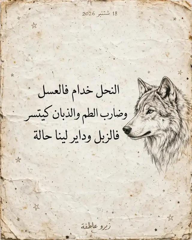 #الجالية_المغربية_في_كل_مكان💚 #الجيل_الذهبي #المغرب #حركة_الاكسبلور #الذئاب 