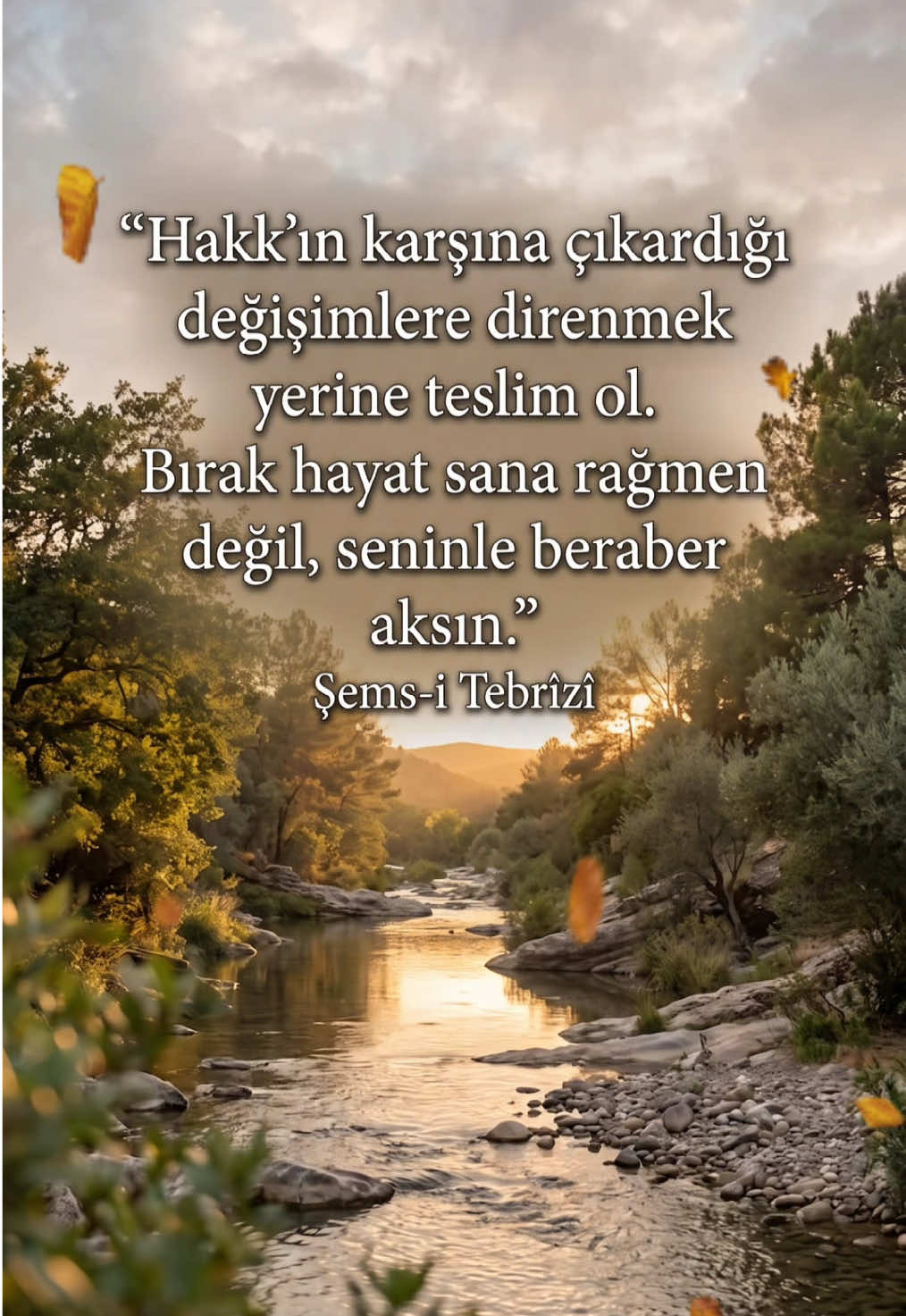 🐞Şems-i Tebrîzî #güzelsözler #anlamlısözler #sözler #motivasyon #şemsitebrizi 