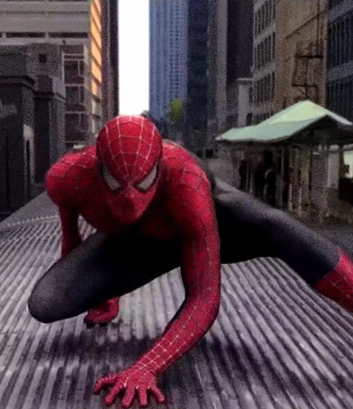 droppin jewels #spiderman #youngthug #tobeymaguire #spider #goats 