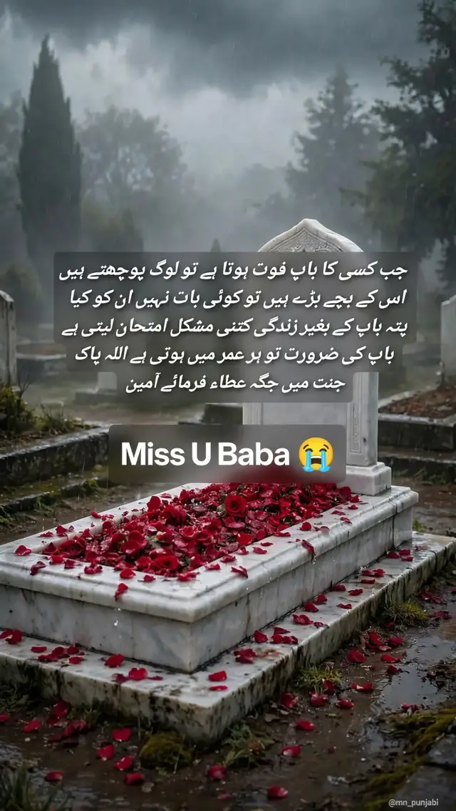 باپ کے بغیر زندگی بہت اوکھی ہے جن کے سر پر باپ کا ہاتھ نہیں ہوتا انہیں ہی پتہ چلتا ہے کہ دنیا کتنی مشکل ہے اللہ سب کے والدین کو سلامت رکھے #baap #100k #fyp #missyou #mn_punjabi 
