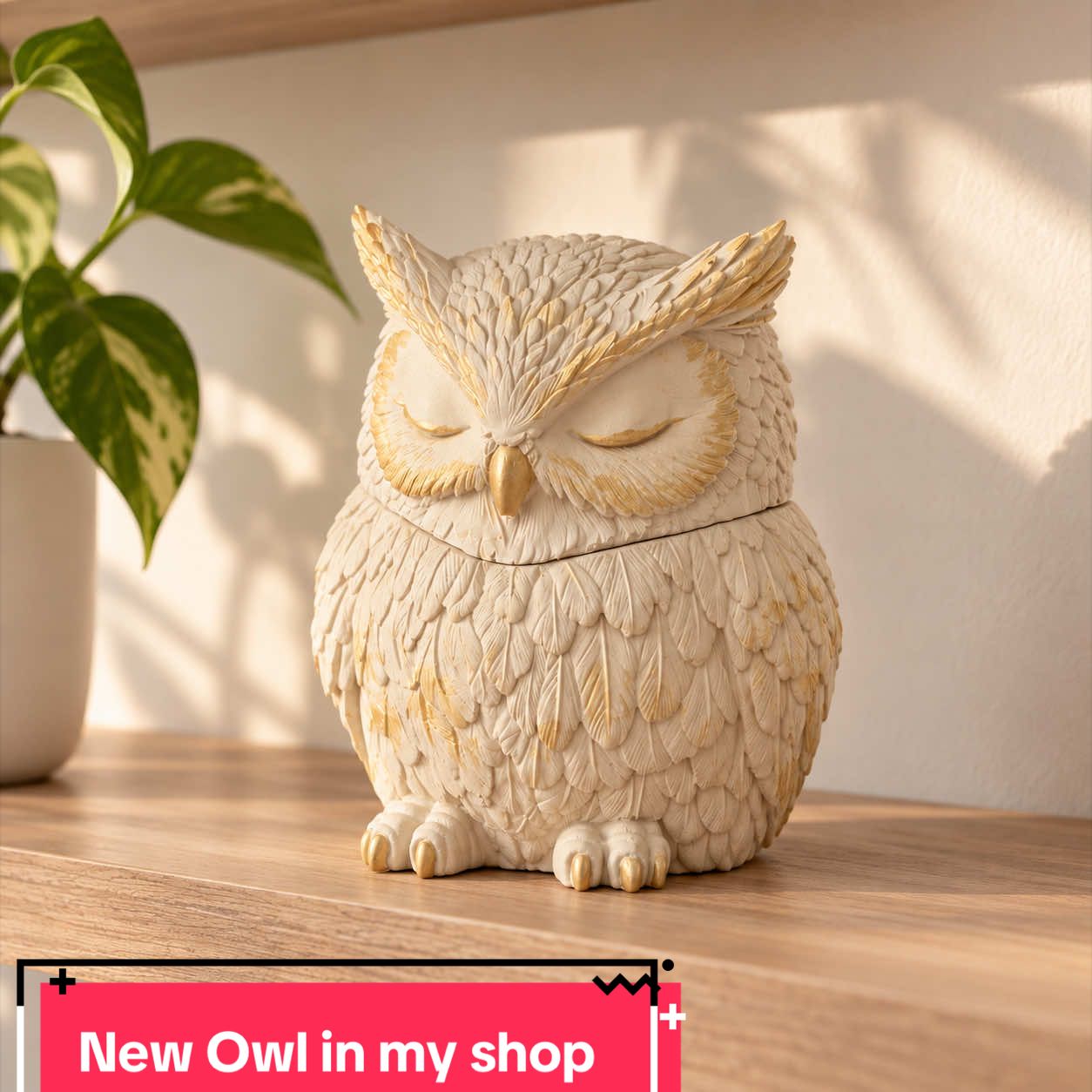 New at DivoCandles 🦉 A soy candle in a unique owl-shaped vessel. Once the candle is finished, the owl can stay as part of your home decor — perfect for a bookshelf, bedroom, or reading nook. Choose your favorite color and scent. A unique little gift — or keep it for yourself. 🤍 Now available to order. #TikTokMadeMeBuyIt #etsyfinds #charlottenc #CandleLover #owldecor 