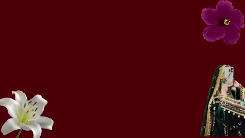 @Fayez zalmay #pushtosongs #pushtoonculture #pushtolines #afghan #musicvideo @TikTok 