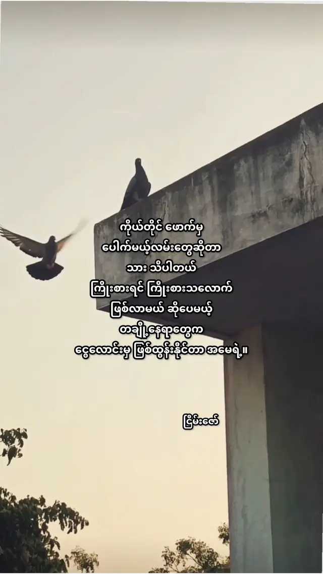 တချို့နေရာတွေက  ငွေလောင်းမှ ဖြစ်ထွန်းနိုင်တာ အမေရဲ့။ #ငြိမ်းဇော် #အမေ #ဘဝကိုအရူံးမပေးကြသူများ💪  #fypပေါ်ရောက်စမ်း  #myanmartiktok🇲🇲🇲🇲 