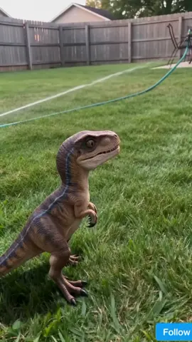 He Tried to Catch the Sprinkler 😂🦖💦