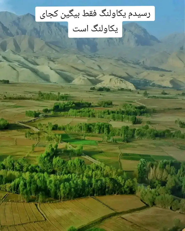 #Foryou ##پشتون_تاجیک_هزاره_ازبک_زنده_باد🇦🇫 