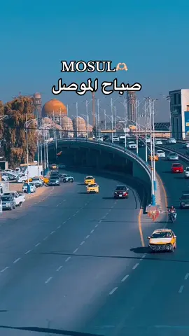 صباح الخير على الموصل واهلها🇮🇶🇮🇶🫶🏻🫶🏻❤️🕊️🇮🇶📍📸#تصويري_احترافي_الاجواء👌🏻🕊😴 #موصل #viral #موصل_بغداد_كركوك_حله_نجف_بصره #متابعه_ولايك_واكسبلور_فضلا_ليس_امر 