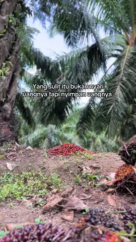 Dua duanya sama sama sulit🤣#fyp #fypage #fouryou #fypシ゚viral #bakalmalittang 