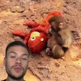 #edit #fppppppppppppppppppp #viraltiktok não se vinga 