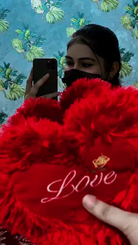 tery bina kia zindagi❤️ #laibaqueen009 #plztiktokteamdontunderviewmyvideos #1millionviews #plzunfrezemyaccount #viralvideo 