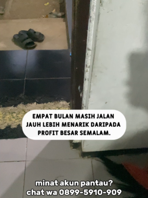 NOT FINANCIAL ADVICE 📞 WA: 0899-5910-909 🚀 Trading Jadi Lebih Efisien Dengan EA Trading tidak harus ribet. Cukup jalankan EA dan biarkan sistem bekerja sesuai strategi yang digunakan. 🔥 Keunggulan: ✅ Full Auto ✅ Tidak perlu entry manual ✅ Money management bawaan ✅ Cocok penggunaan jangka panjang 👀 READY AKUN PANTAU Silakan cek performanya sebelum memutuskan. 📲 Klik link di BIO untuk chat admin. 💬 Atau komentar, nanti aku berikan akses akun pantau.