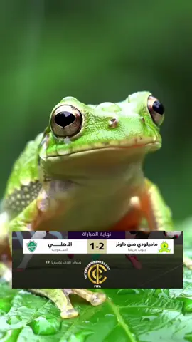 الوضع الآن 🤣😁😁 #الاهلي #الاهلي_صن_داونز #كاس_القارات #طقطقه #fyp 